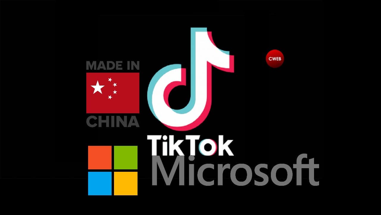 microsoft tiktok  