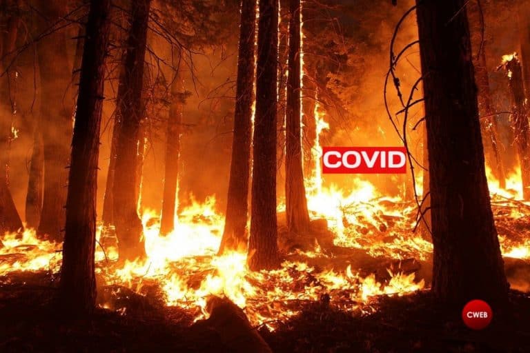Wildfire Smoke and COVID-19