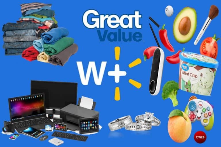 The Retail Giant Walmart Introduces Walmart + And Why We Are Poised To See $1000