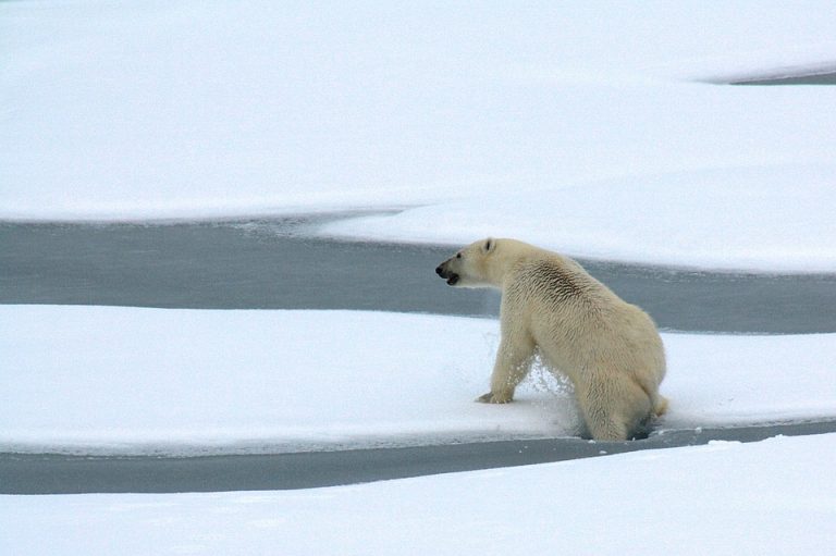 9.7% of the world’s protected areas are connected by land that’s considered intact.