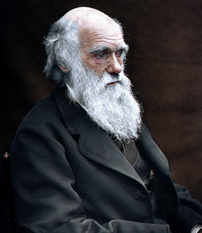 Charles Darwin’s Notebooks Lost in Cambridge in the last Two Decades