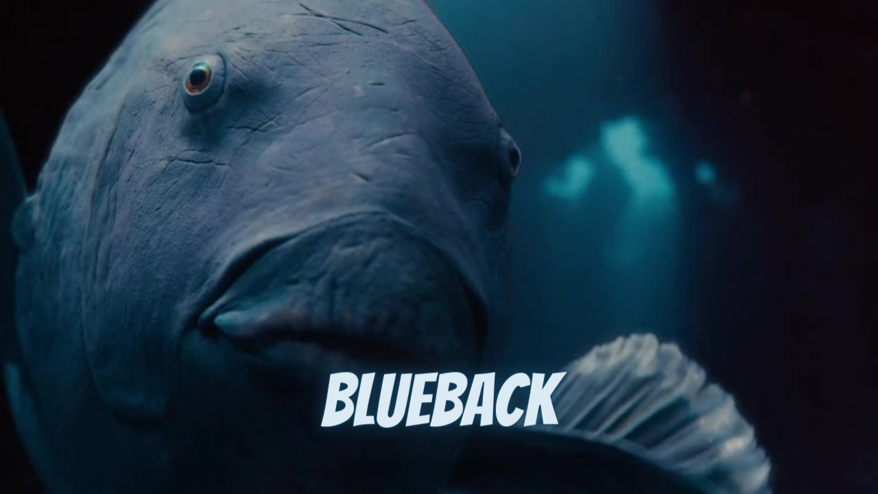 BLUEBACK Trailer 2023
