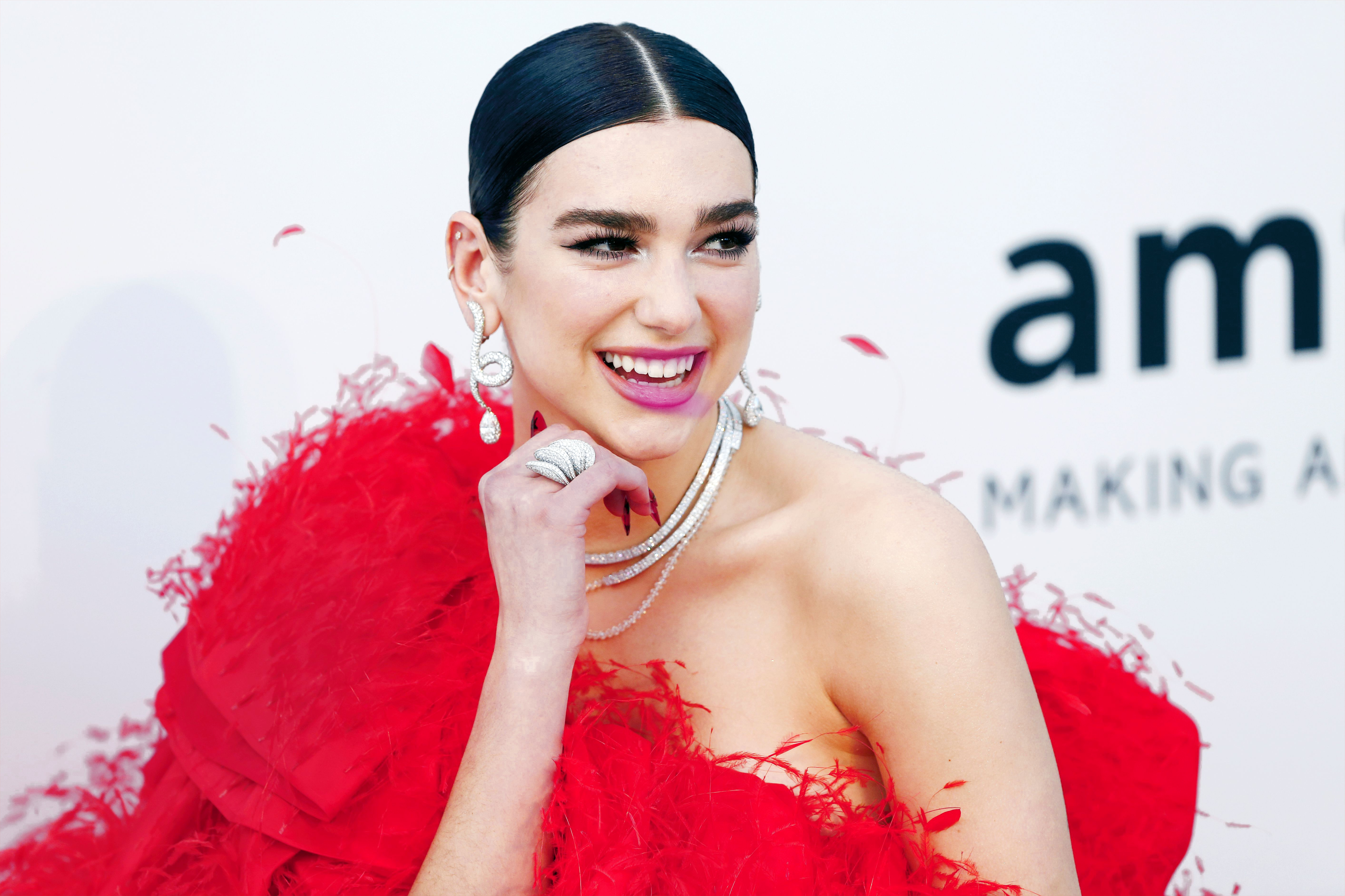 Celebrity Dua Lipa in New Relationship with Celebrity Director Romain Gavras Web Fans Will be Elated