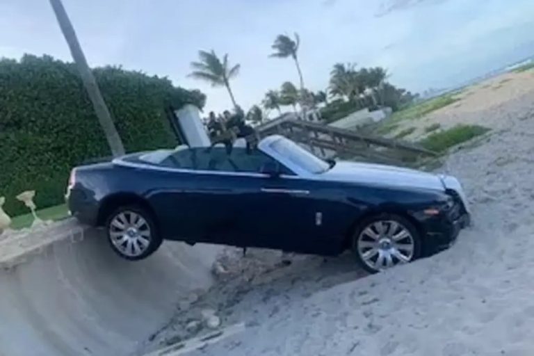 Woman Drives through Backyard and Crashes into Palm Beach Seawall, Allegedly Damages Art Sculpture