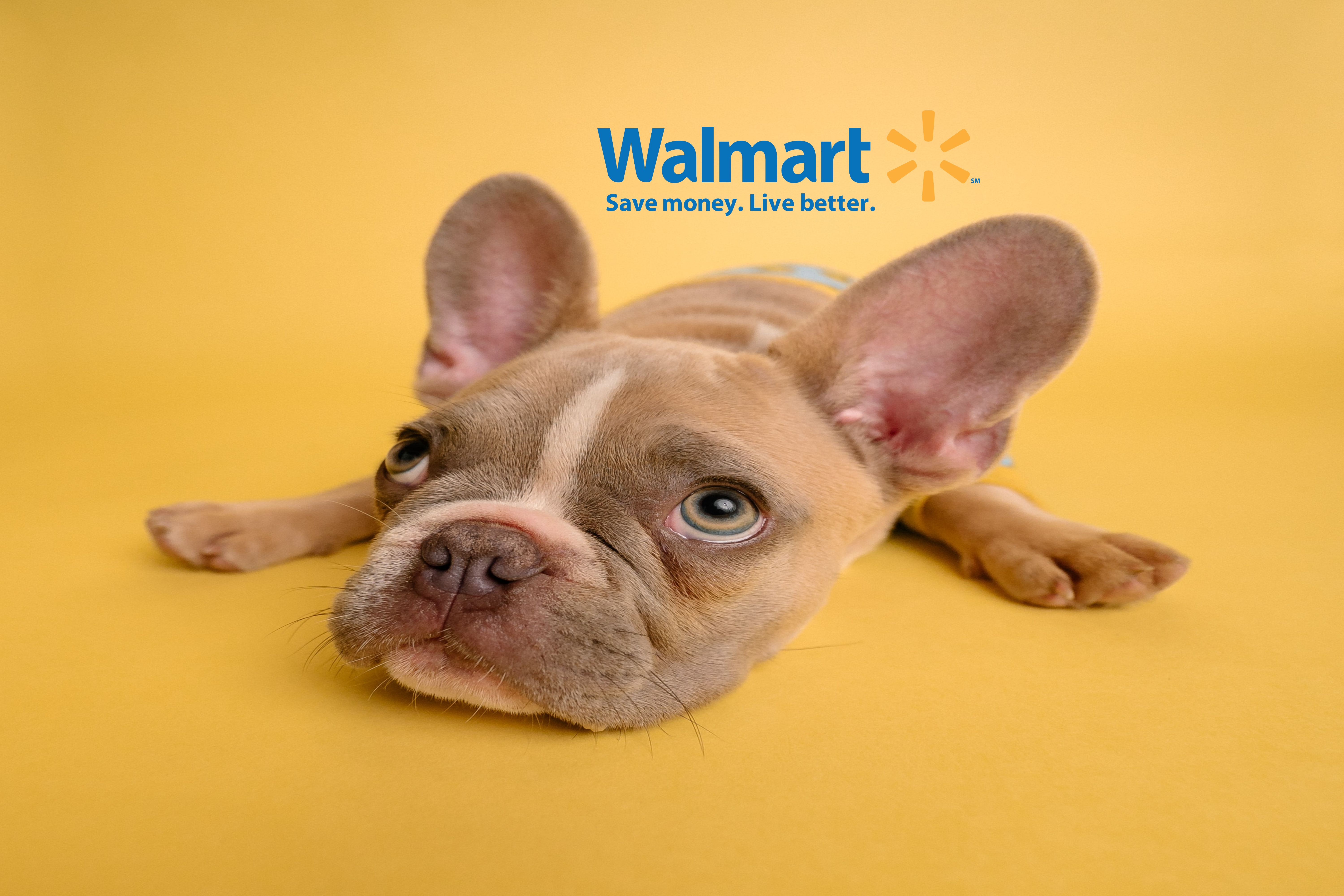 Walmart to partner with Pawp, to offer pet telehealth to subscribers