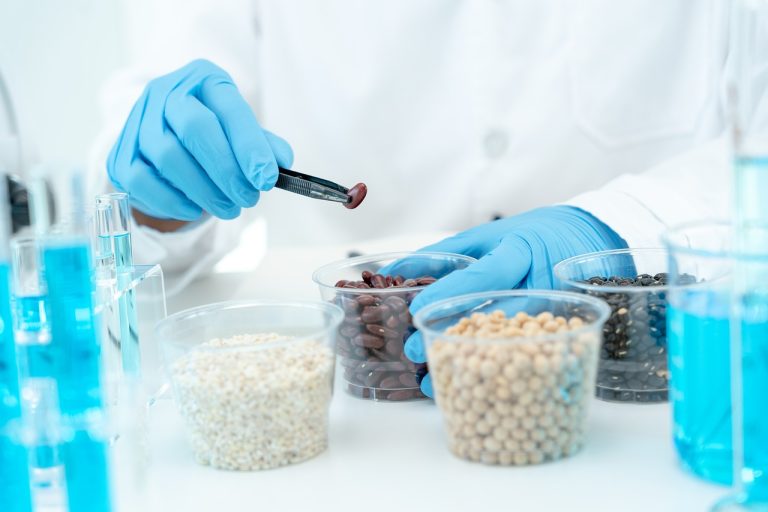 U.S. approves the sale of lab-grown meat