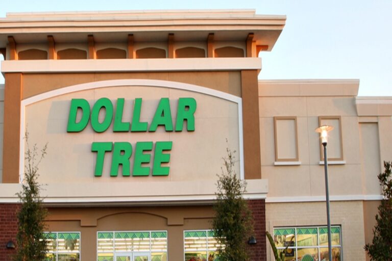 Dollar Tree fiscal quarter results exceed analysts’ expectations, shares fall due to ‘challenging’ economy