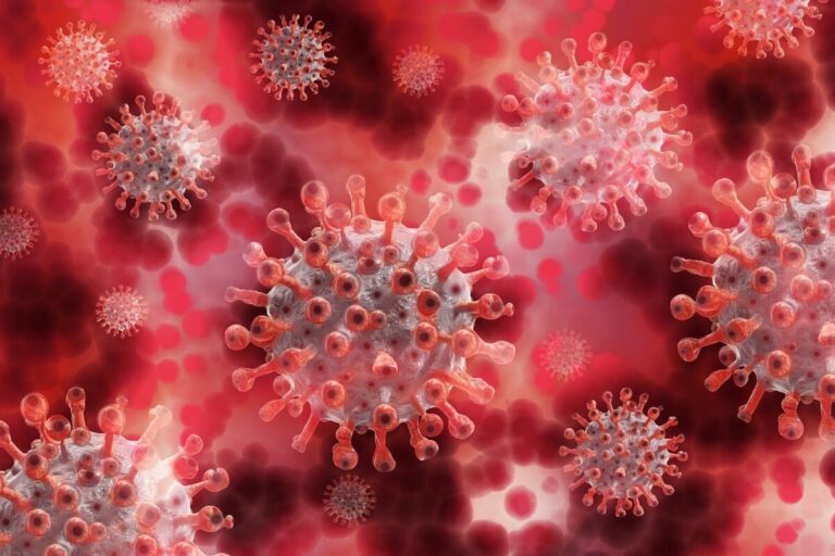 Kate Bingham disease expert says, “The mortality rate of Disease X was compared with the Spanish Flu – Could kill 50 Million”